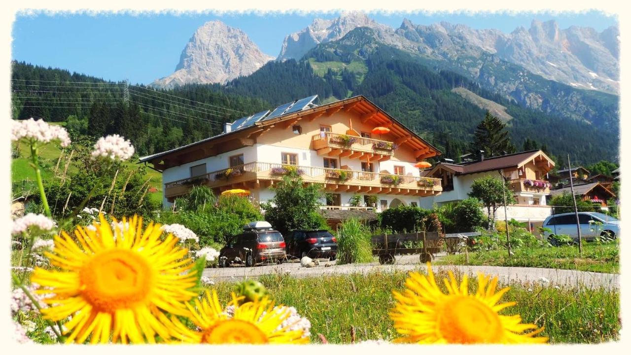 Apartment Ursus Hinterthal *